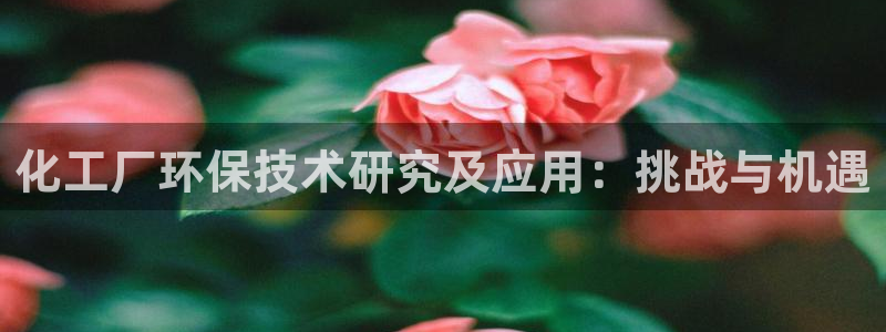 亿万先生游戏：化工厂环保技术研究及应用：挑战与机遇