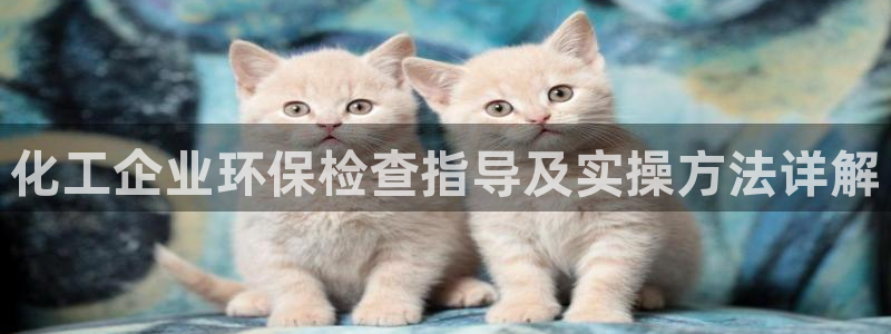 亿万先生手机版客户端下载官网：化工企业环保检查指导及实操方法详解