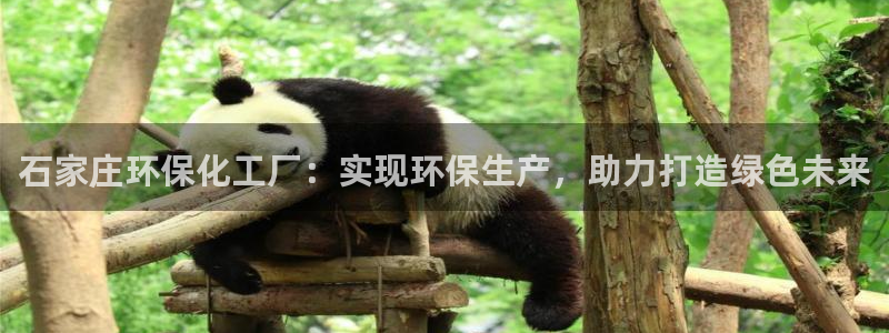 亿万先生合并网址是什么：石家庄环保化工厂：实现环保生产，助力打造绿色未来