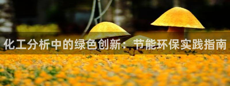 亿万先生官方网站：化工分析中的绿色创新：节能环保实践指南