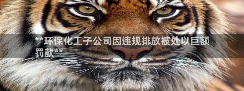 亿万讲了什么：**环保化工子公司因违规排放被处以巨额
罚款**