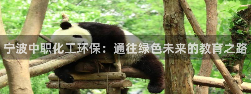 亿万手游平台官网下载：宁波中职化工环保：通往绿色未来的教育之路