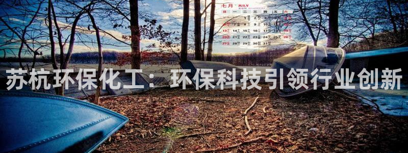 亿万先生mr07：苏杭环保化工：环保科技引领行业创新